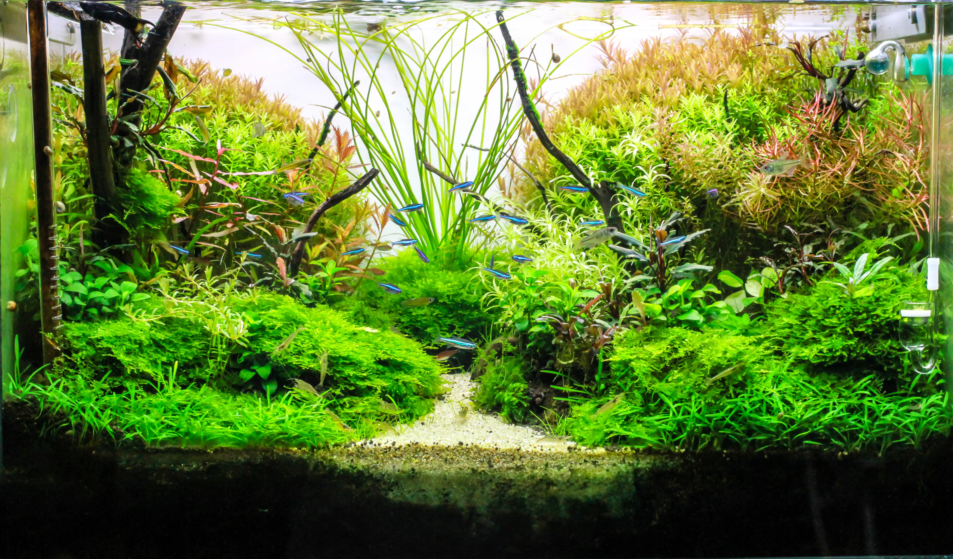 Master Your Underwater Canvas
