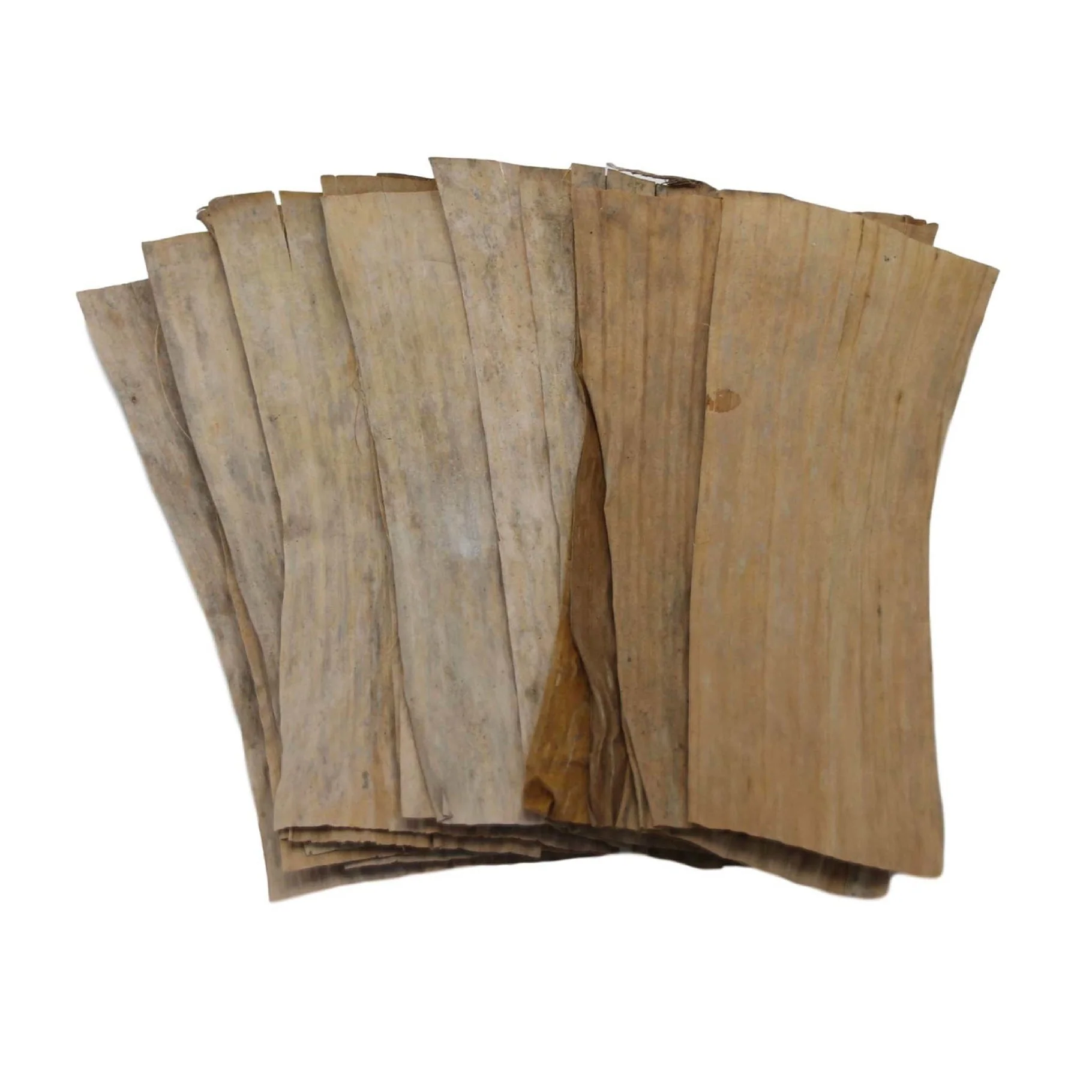 Betta Banana Leaves (20 pcs) - Image 2