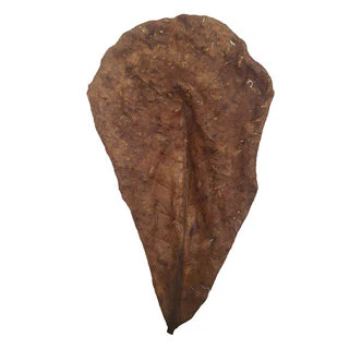 Ceramic Nature Catappa Leaves M - Image 2