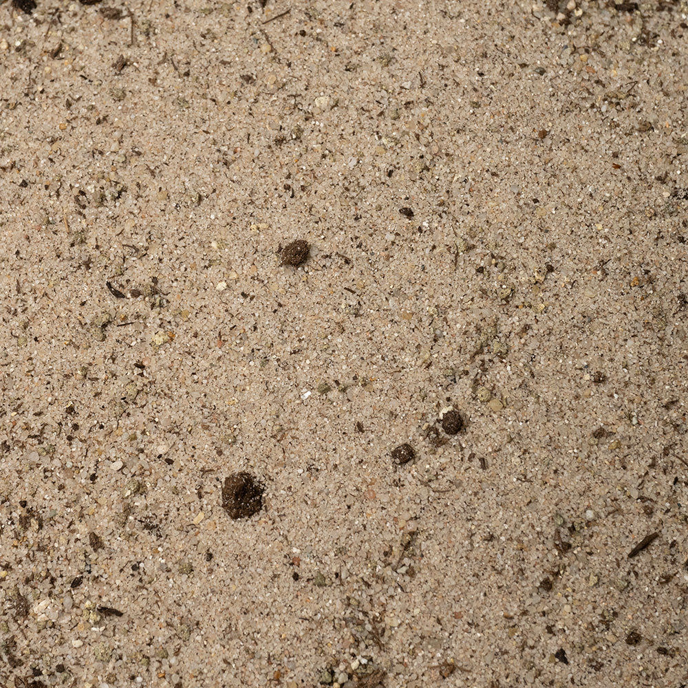 Dennerle Nutribasis - Image 5