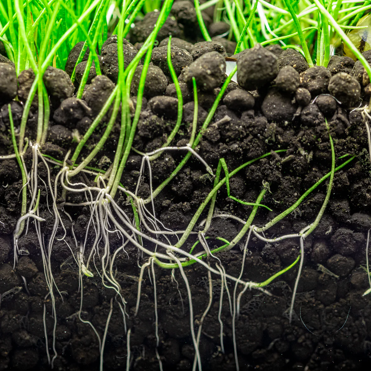 Dennerle Plants Soil - Image 4