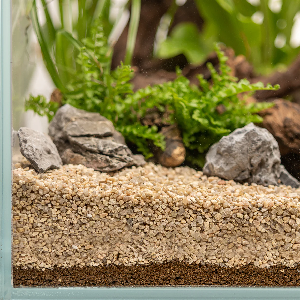Dennerle Plants Substrate - Image 5
