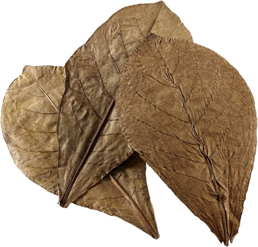 Hobby Nano Catappa Leaves - Image 2