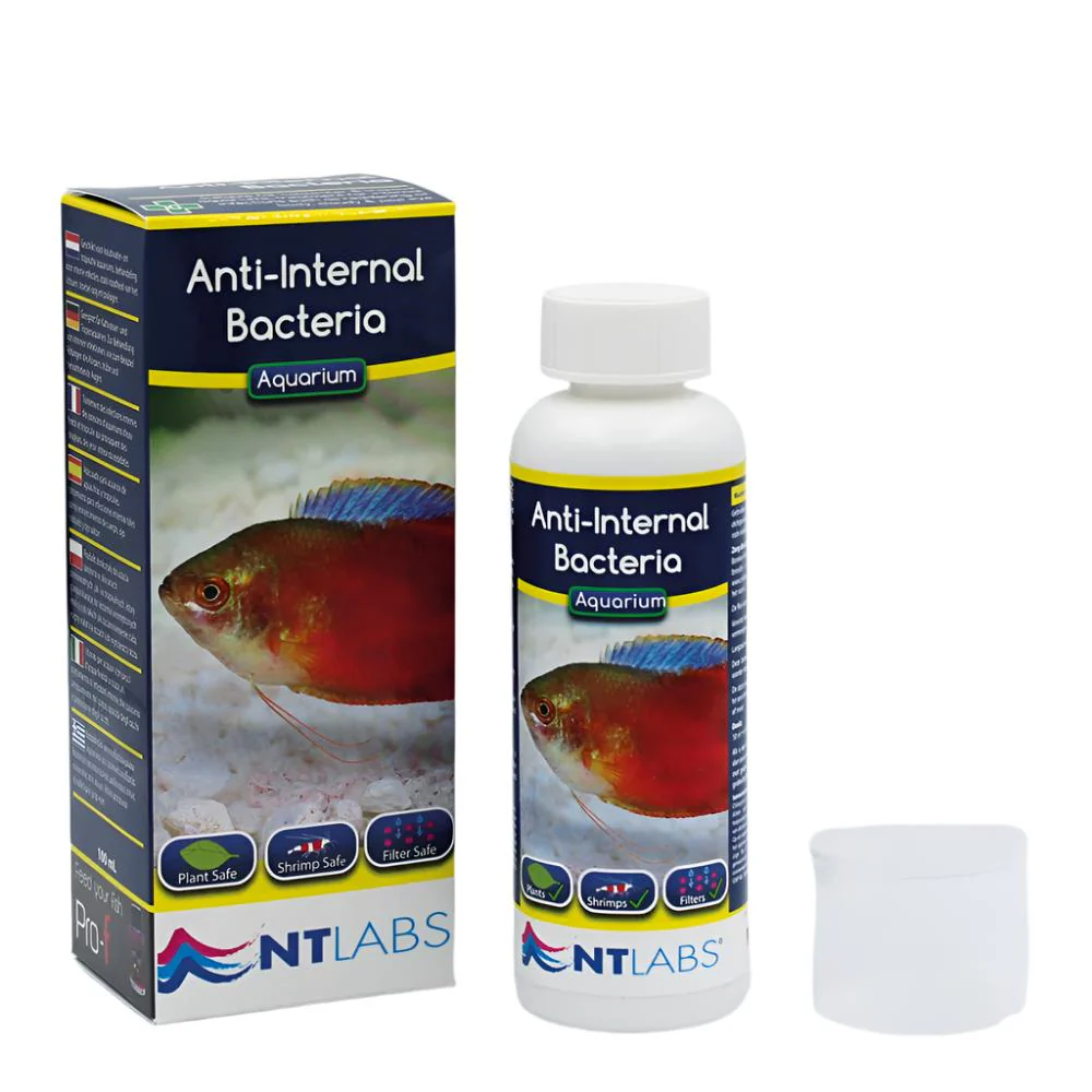 NT Labs Anti-Internal Bacteria - Image 2