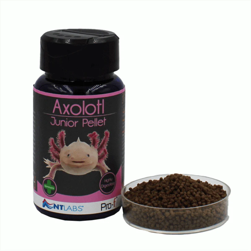 NT Labs Pro-F Axolotl Pellets - Image 2