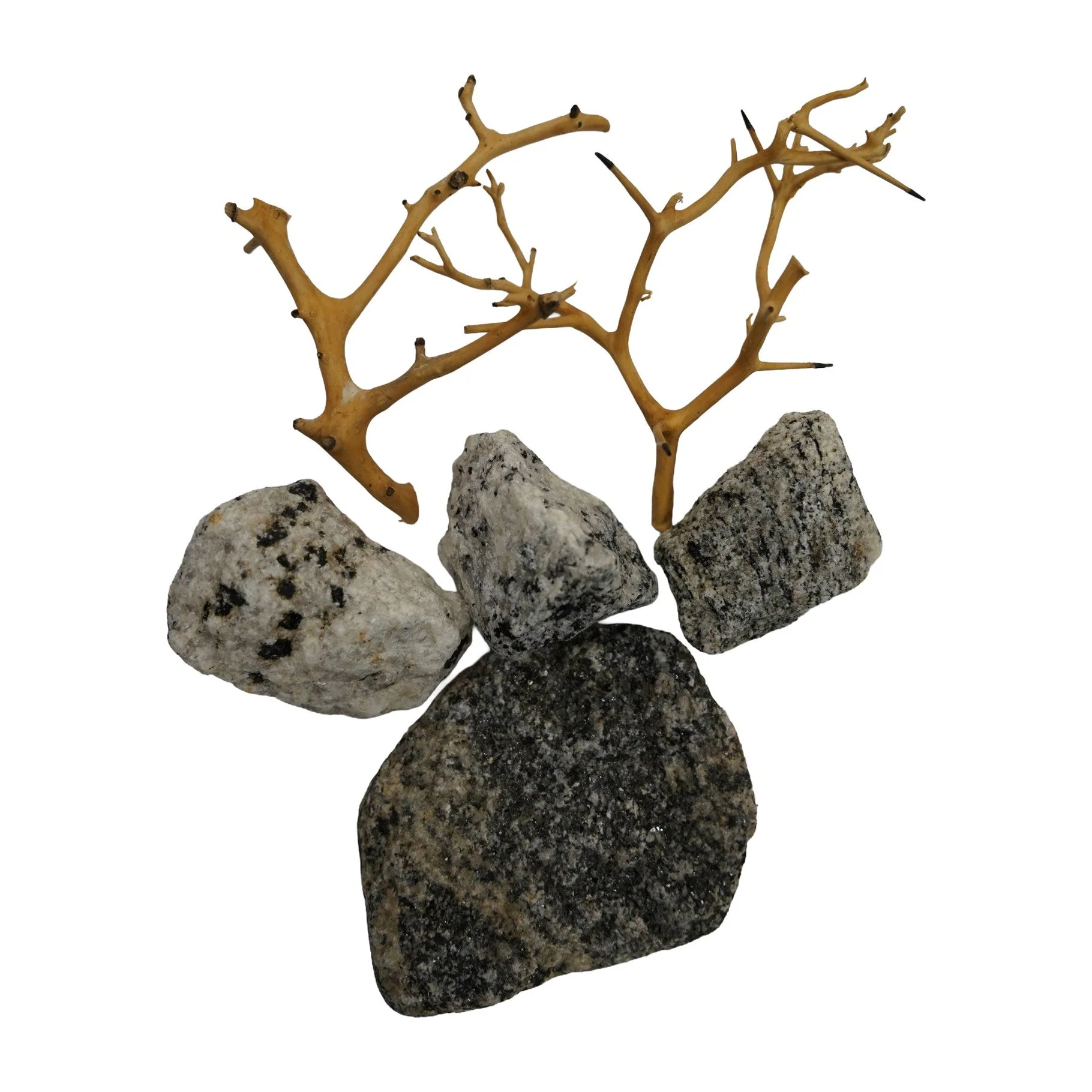 Rock & Root - Nano Hardscape Sets - Image 10