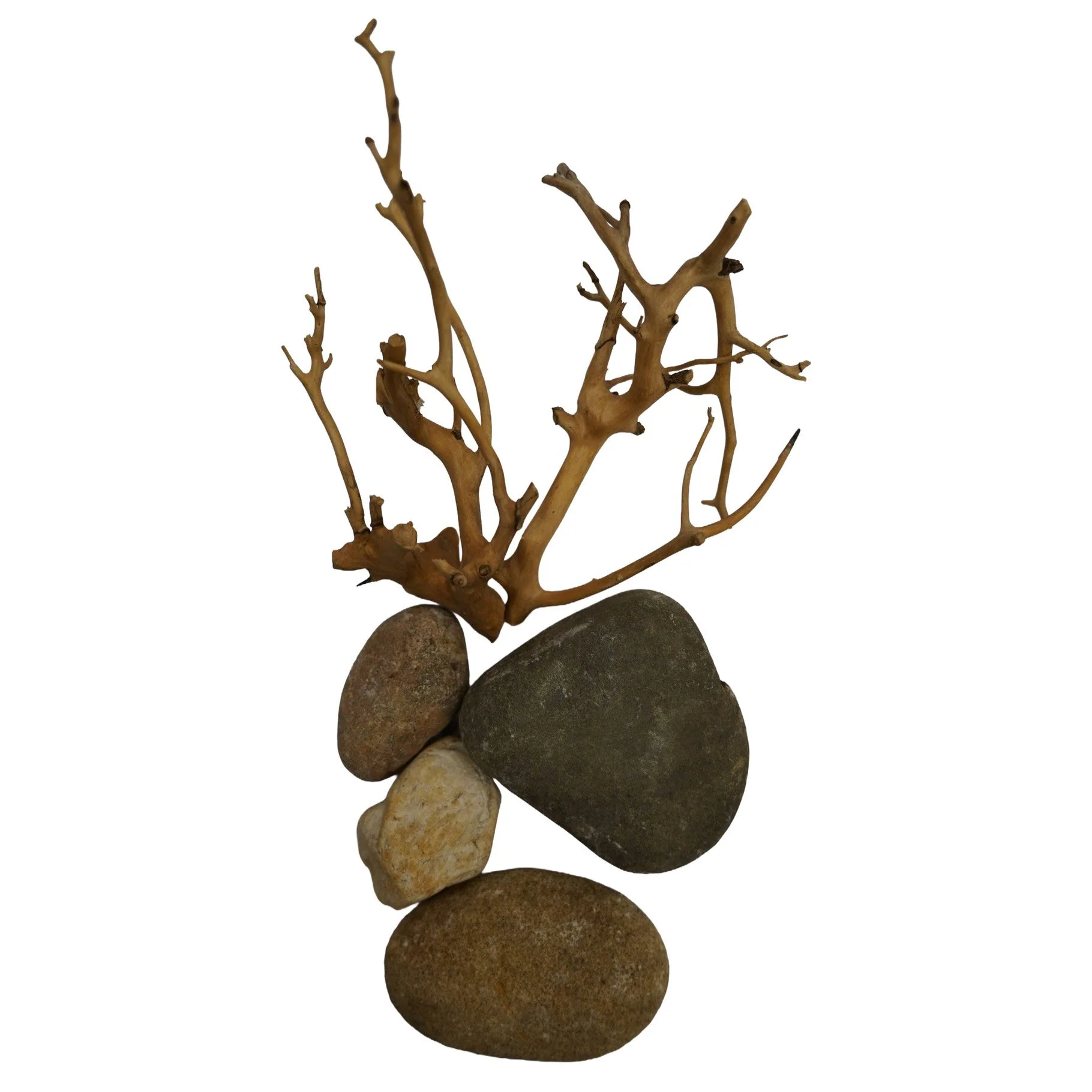 Rock & Root - Nano Hardscape Sets - Image 8