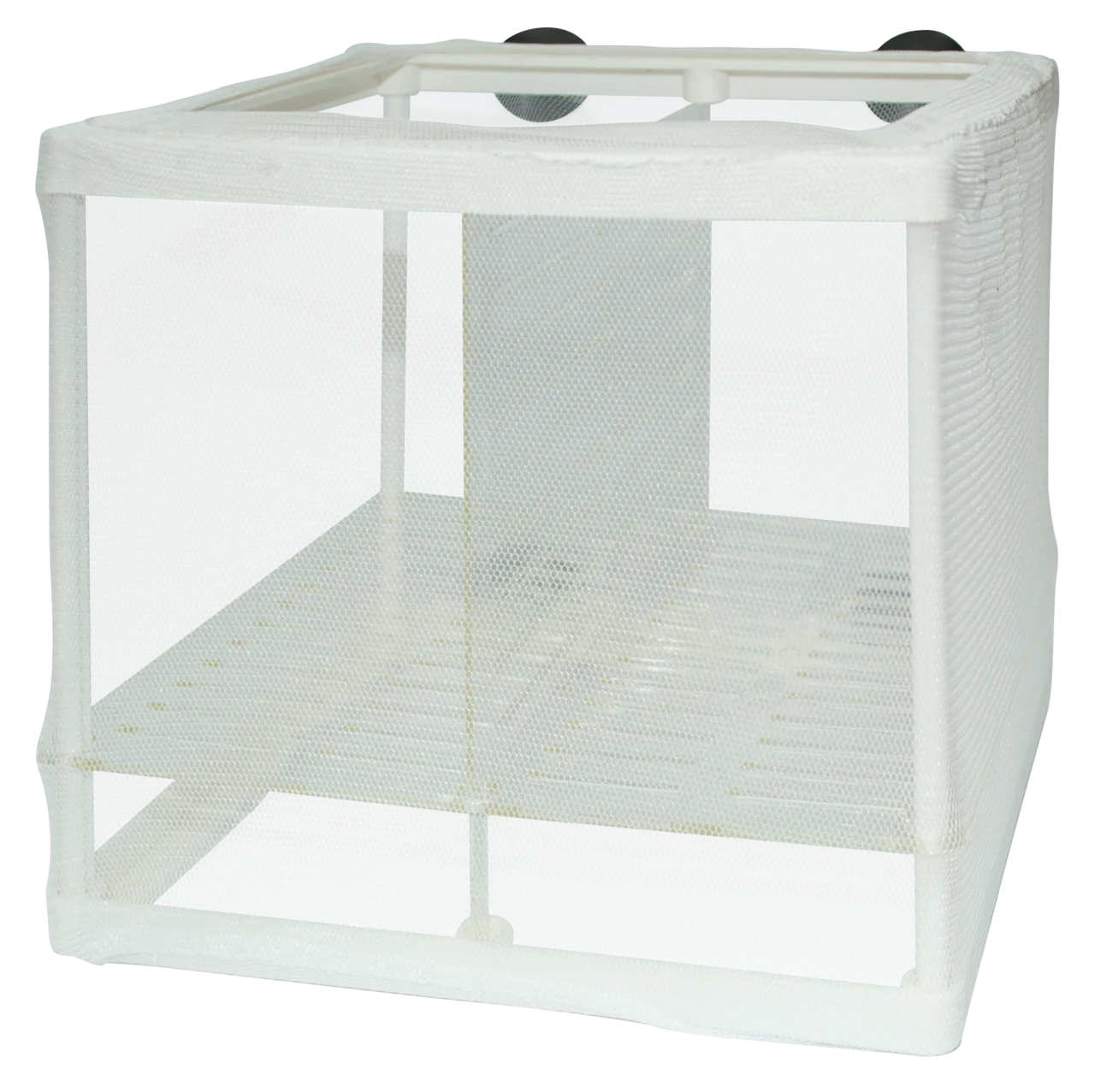 Superfish Breeding Net - Image 2