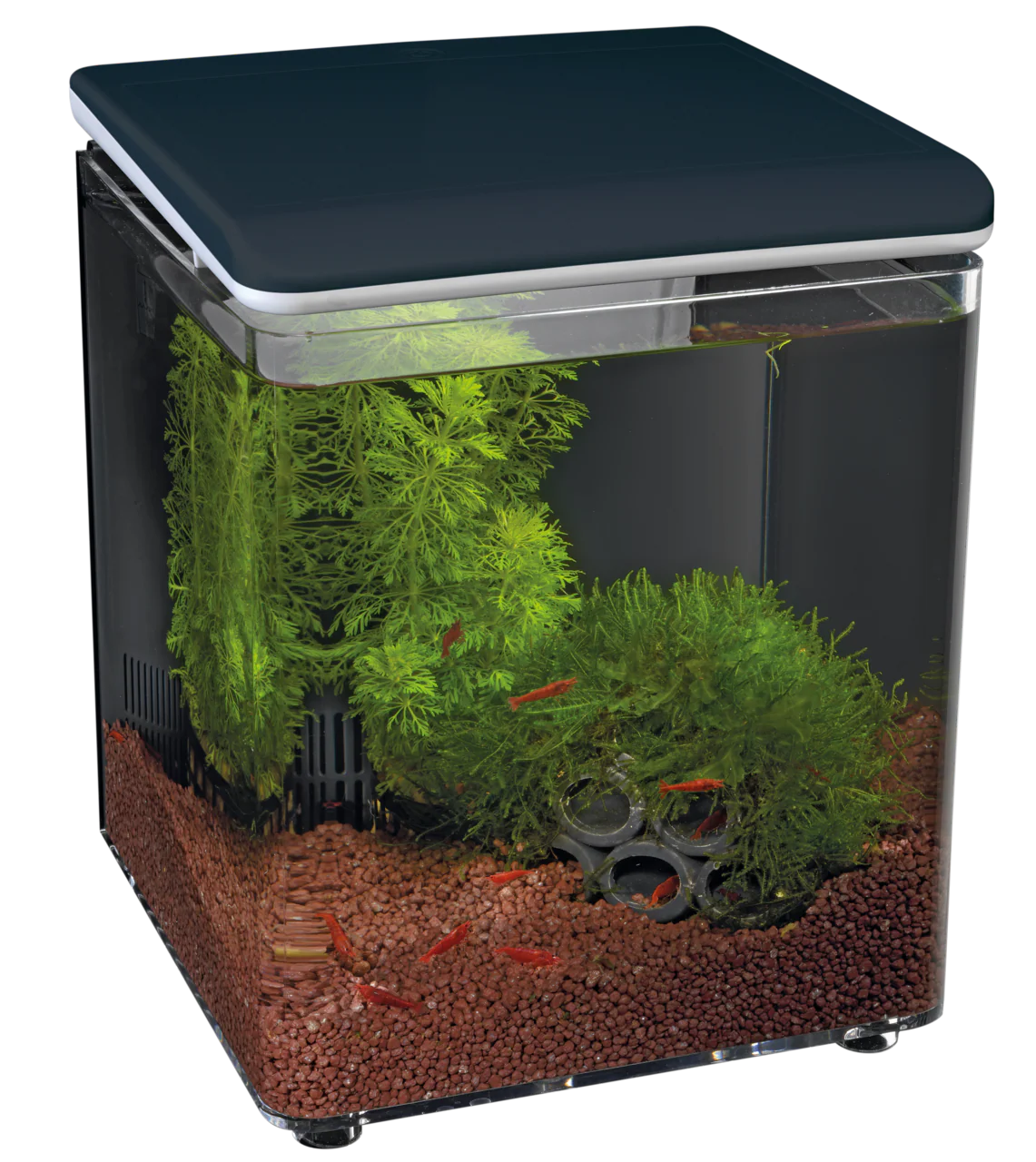 Superfish Home 8 Aquarium - Image 2