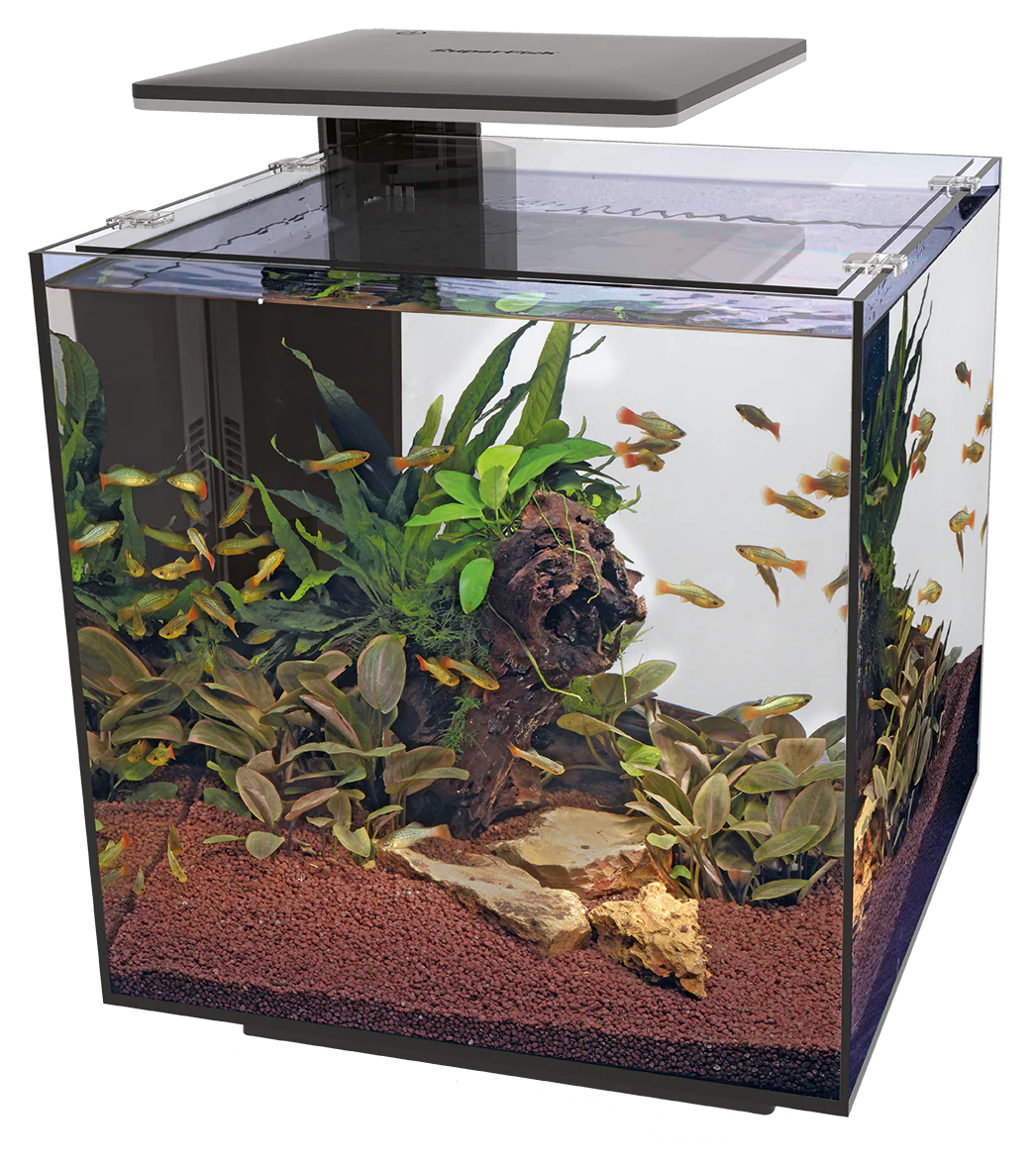 Superfish Qubiq 60 Pro LED - Image 2