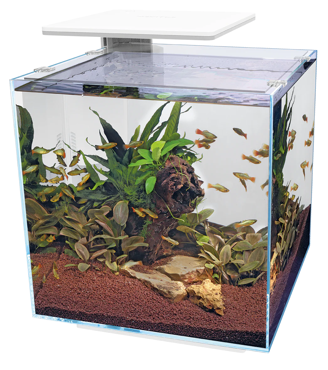Superfish Qubiq 60 Pro LED - Image 3