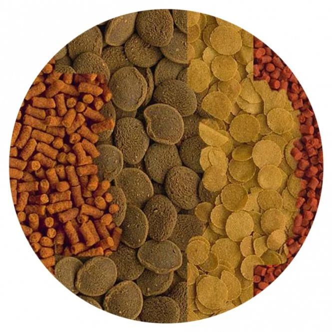 Tetra Crusta Menu - Image 2